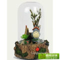 Trang trí Lọ thủy tinh trong suốt / Vòm trồng cây Terrarium